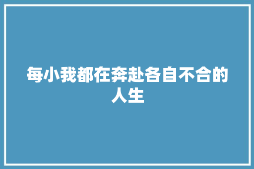 每小我都在奔赴各自不合的人生