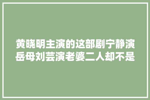黄晓明主演的这部剧宁静演岳母刘芸演老婆二人却不是母女