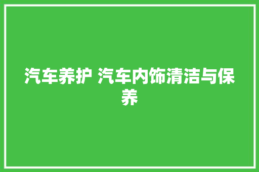 汽车养护 汽车内饰清洁与保养