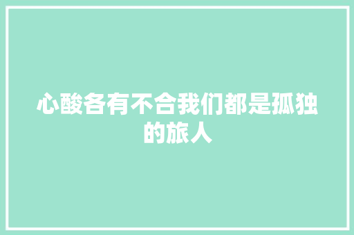 心酸各有不合我们都是孤独的旅人