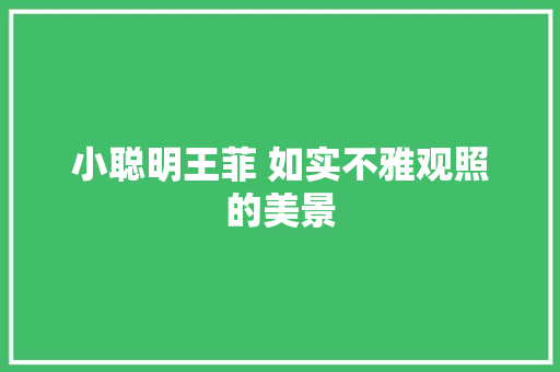 小聪明王菲 如实不雅观照的美景