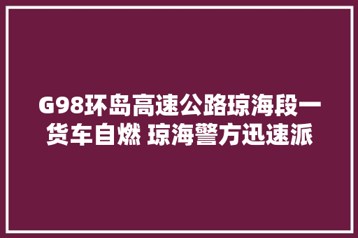 G98环岛高速公路琼海段一货车自燃 琼海警方迅速派员处置