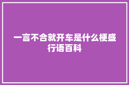 一言不合就开车是什么梗盛行语百科