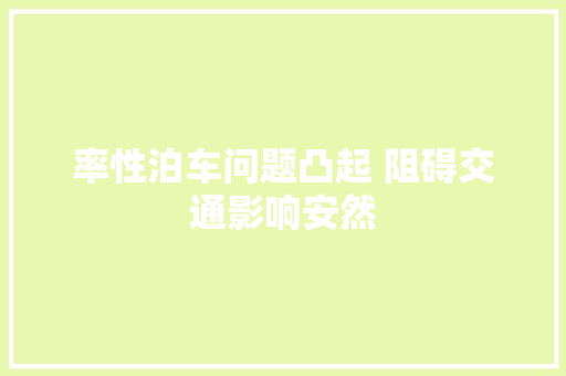率性泊车问题凸起 阻碍交通影响安然