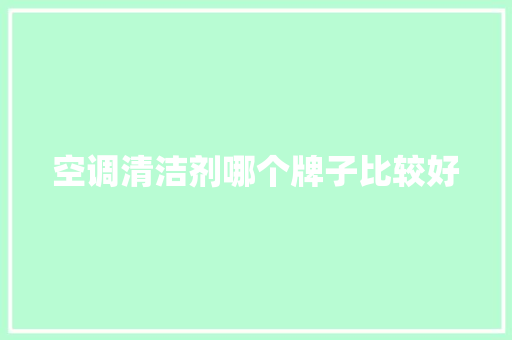 空调清洁剂哪个牌子比较好