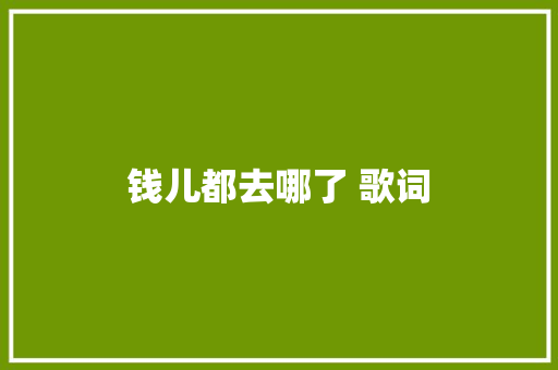 钱儿都去哪了 歌词