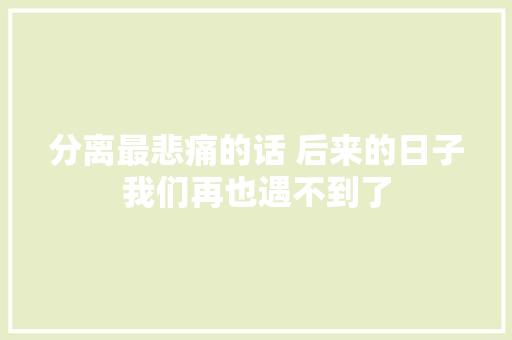分离最悲痛的话 后来的日子我们再也遇不到了