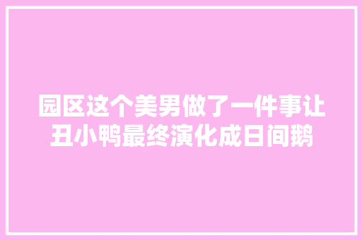 园区这个美男做了一件事让丑小鸭最终演化成日间鹅