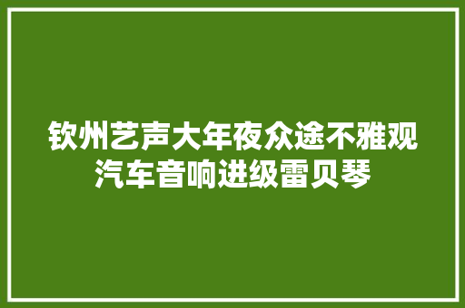 钦州艺声大年夜众途不雅观汽车音响进级雷贝琴