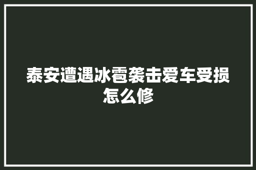 泰安遭遇冰雹袭击爱车受损怎么修