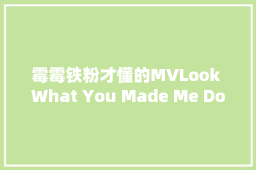 霉霉铁粉才懂的MVLook What You Made Me Domv介绍
