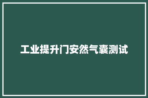 工业提升门安然气囊测试