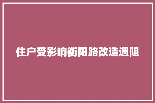 住户受影响衡阳路改造遇阻