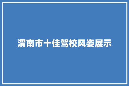 渭南市十佳驾校风姿展示