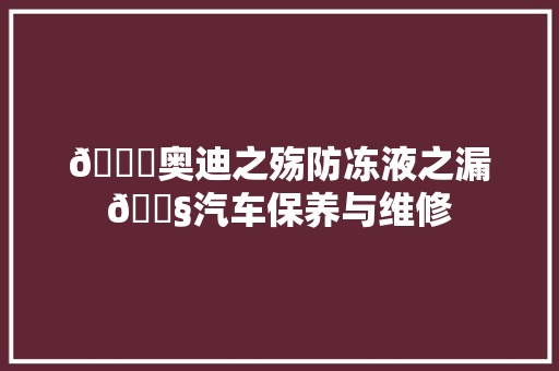🚗奥迪之殇防冻液之漏💧汽车保养与维修