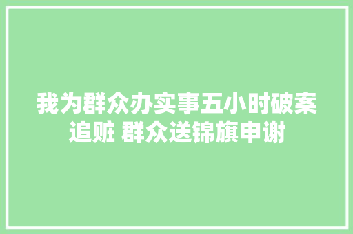 我为群众办实事五小时破案追赃 群众送锦旗申谢