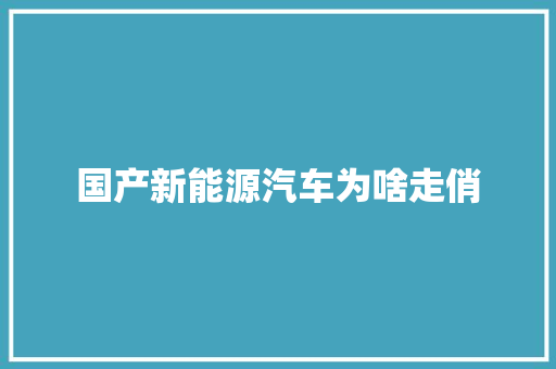 国产新能源汽车为啥走俏 汽车知识
