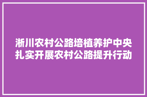 淅川农村公路培植养护中央扎实开展农村公路提升行动