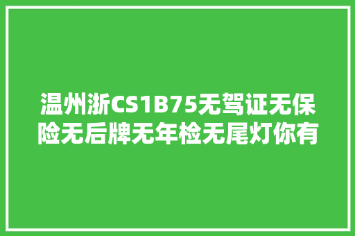 温州浙CS1B75无驾证无保险无后牌无年检无尾灯你有什么