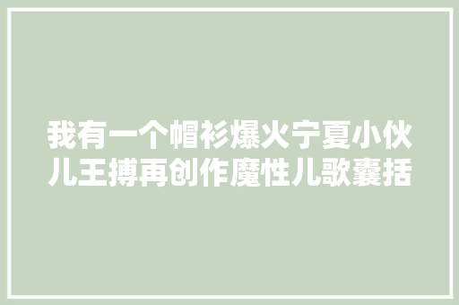 我有一个帽衫爆火宁夏小伙儿王搏再创作魔性儿歌囊括收集