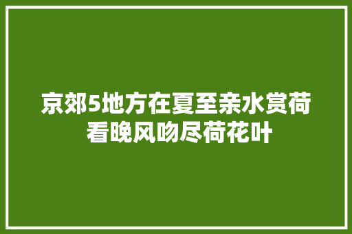京郊5地方在夏至亲水赏荷 看晚风吻尽荷花叶