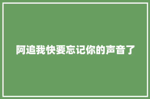 阿追我快要忘记你的声音了