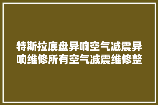 特斯拉底盘异响空气减震异响维修所有空气减震维修整条