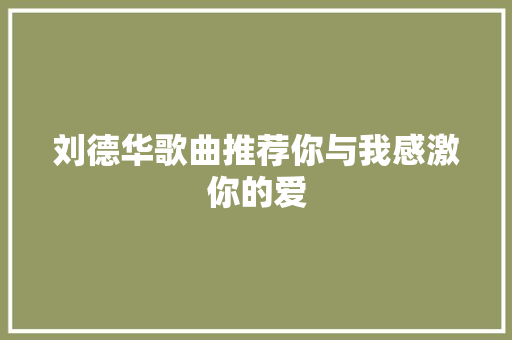 刘德华歌曲推荐你与我感激你的爱