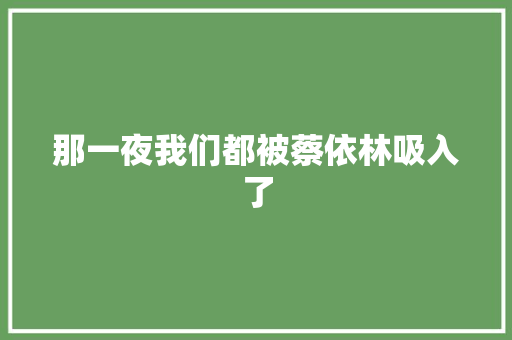 那一夜我们都被蔡依林吸入了