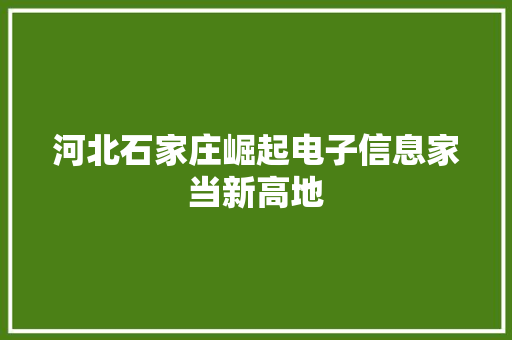 河北石家庄崛起电子信息家当新高地 汽车知识