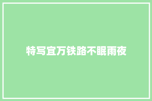 特写宜万铁路不眠雨夜