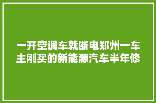 一开空调车就断电郑州一车主刚买的新能源汽车半年修了8次 汽车知识
