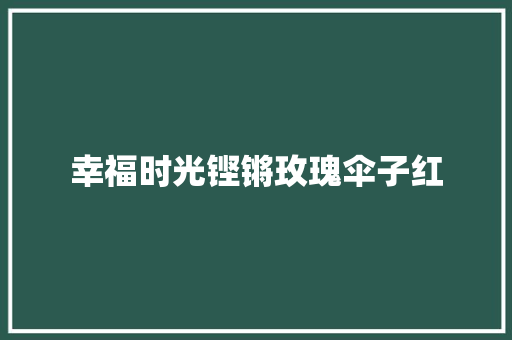 幸福时光铿锵玫瑰伞子红 休闲娱乐