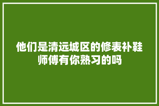 他们是清远城区的修表补鞋师傅有你熟习的吗