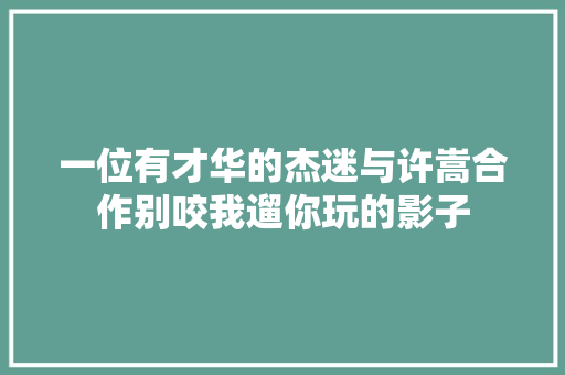 一位有才华的杰迷与许嵩合作别咬我遛你玩的影子