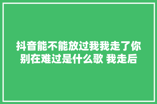 抖音能不能放过我我走了你别在难过是什么歌 我走后歌词全文 休闲娱乐