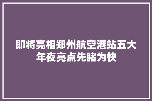即将亮相郑州航空港站五大年夜亮点先睹为快