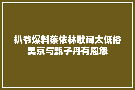扒爷爆料蔡依林歌词太低俗吴京与甄子丹有恩怨