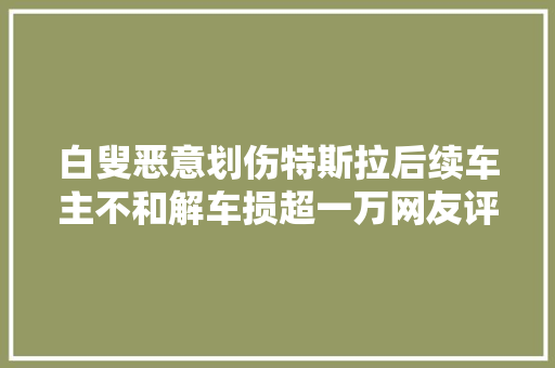 白叟恶意划伤特斯拉后续车主不和解车损超一万网友评论炸锅