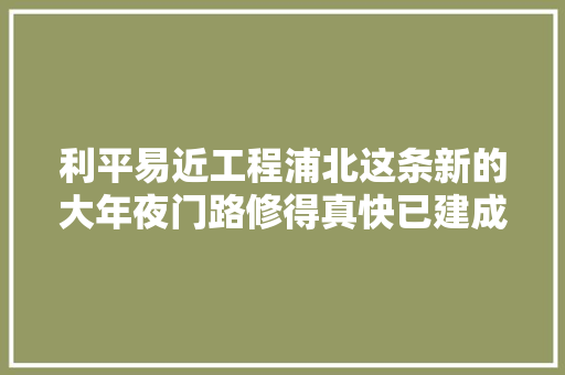 利平易近工程浦北这条新的大年夜门路修得真快已建成这样