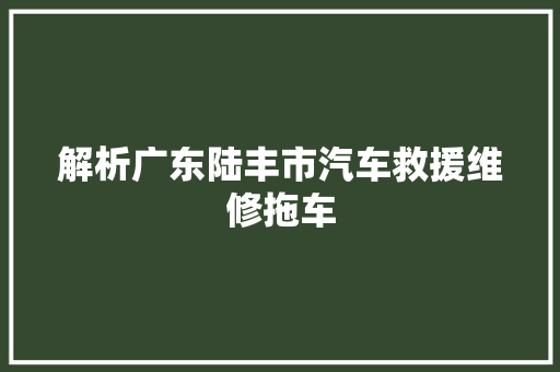解析广东陆丰市汽车救援维修拖车