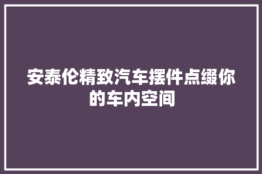 安泰伦精致汽车摆件点缀你的车内空间