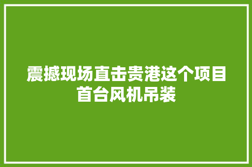 震撼现场直击贵港这个项目首台风机吊装