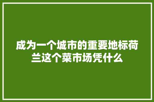 成为一个城市的重要地标荷兰这个菜市场凭什么