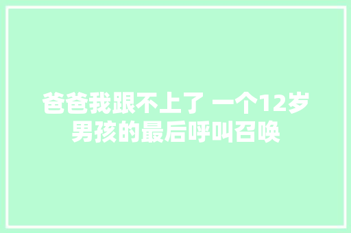 爸爸我跟不上了 一个12岁男孩的最后呼叫召唤 休闲娱乐