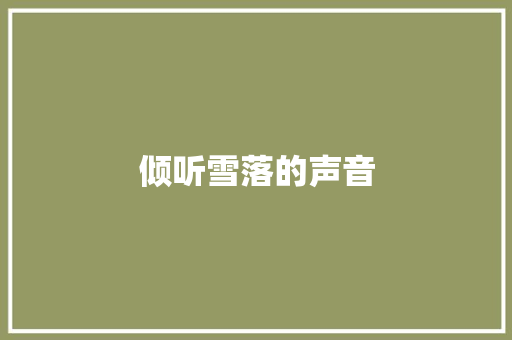 倾听雪落的声音