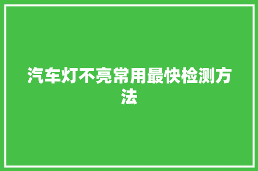 汽车灯不亮常用最快检测方法