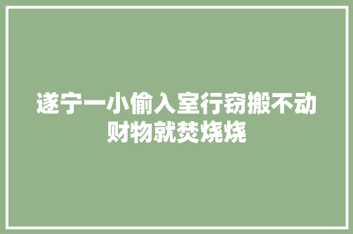 遂宁一小偷入室行窃搬不动财物就焚烧烧