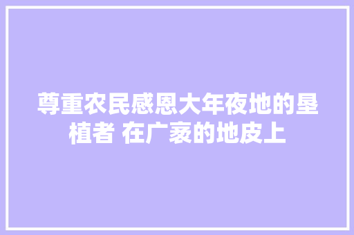 尊重农民感恩大年夜地的垦植者 在广袤的地皮上