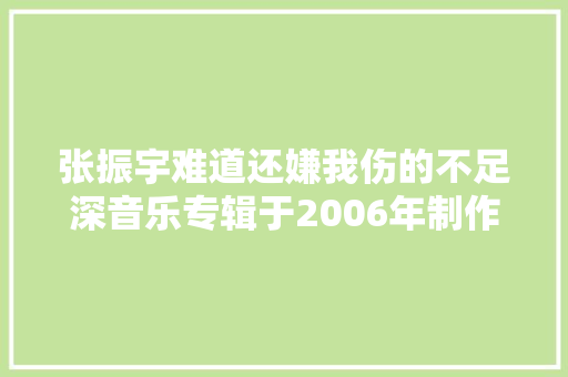 张振宇难道还嫌我伤的不足深音乐专辑于2006年制作发行